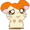 Benutzeravatar